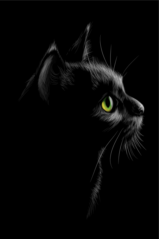 Gatos ojos verdes dnevniški plakat - TenStickers