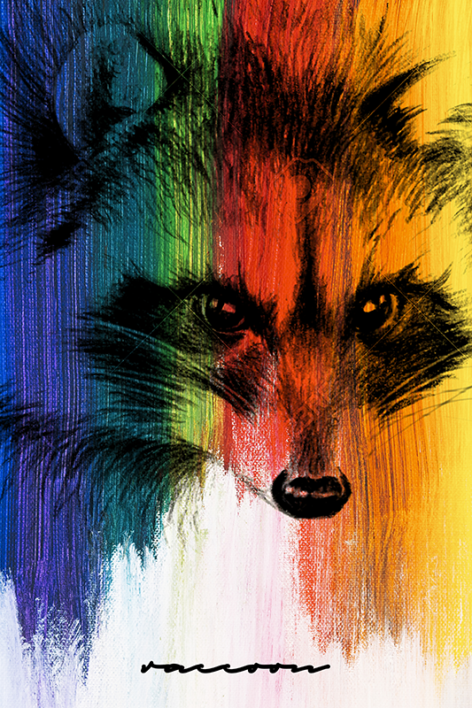 Rainbow racoon dnevniški plakat - TenStickers