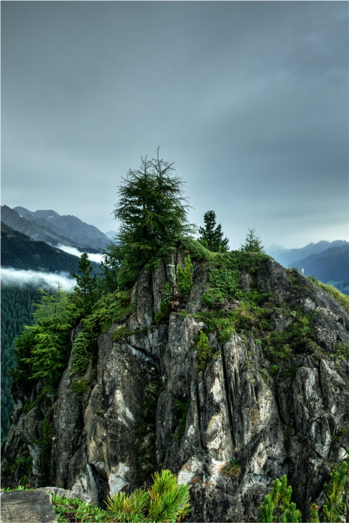 Single rock in green forest dnevniški plakat - TenStickers
