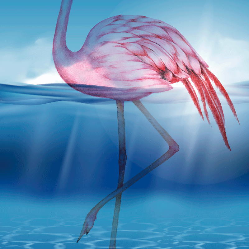 Underwater design of flamingo dnevniški plakat - TenStickers