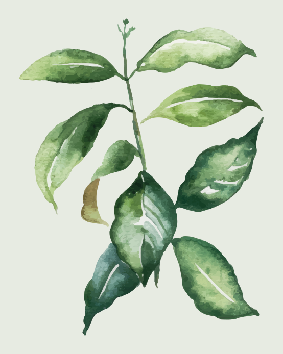 Lime palm leaf plakat cvetja - TenStickers