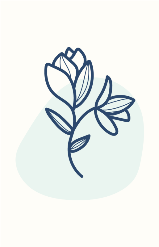 Botanical outline illustration plakat cvetja - TenStickers