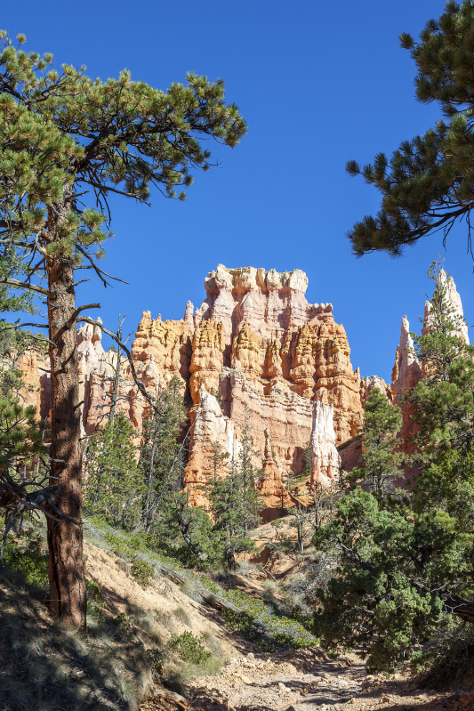 Plakat krajine bryce canyon - TenStickers
