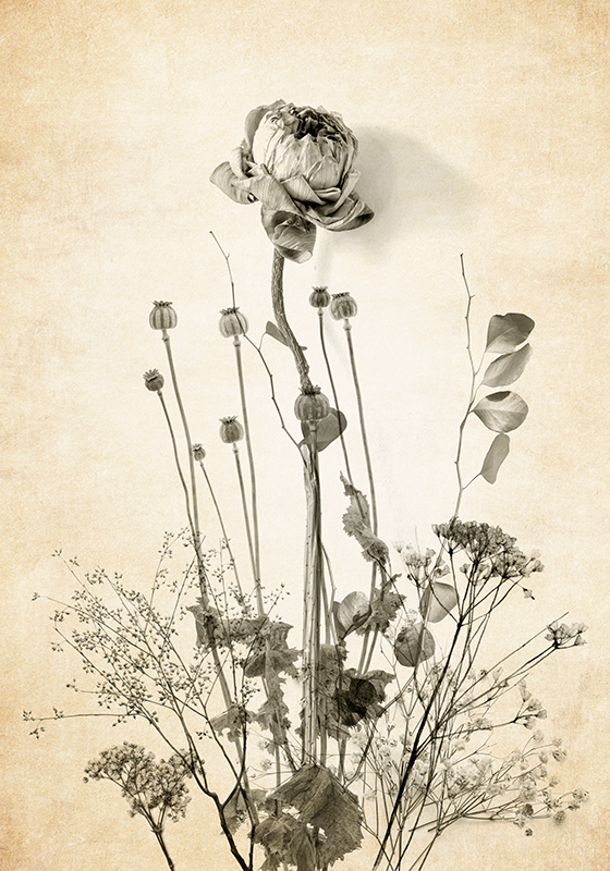 šopek rož na bež podlagi Plakat cvetja - TenStickers