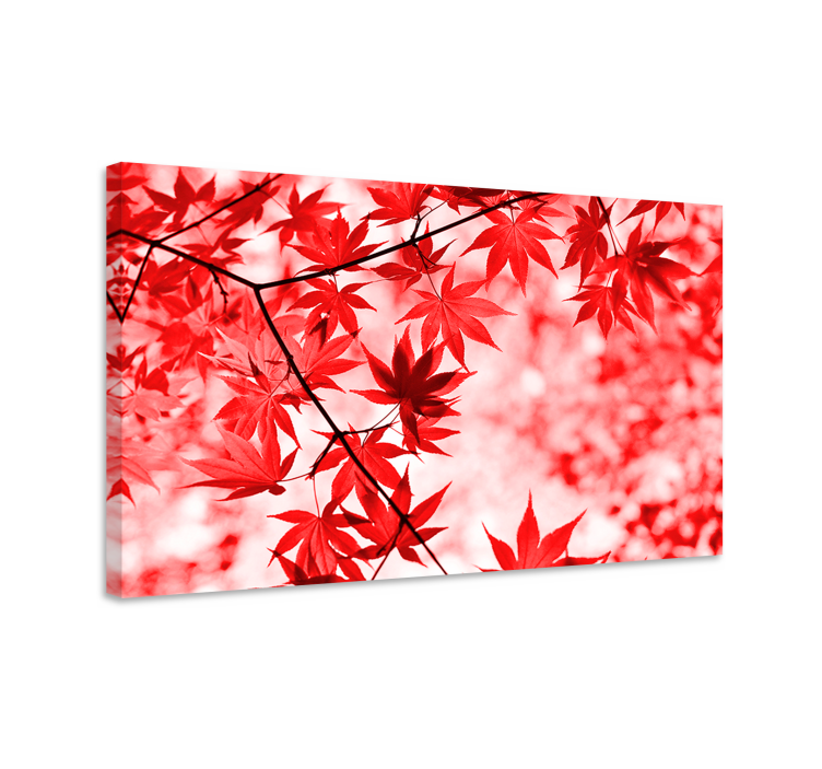 Vivid red maple leaves slikanje cvetov in rastlin - TenStickers