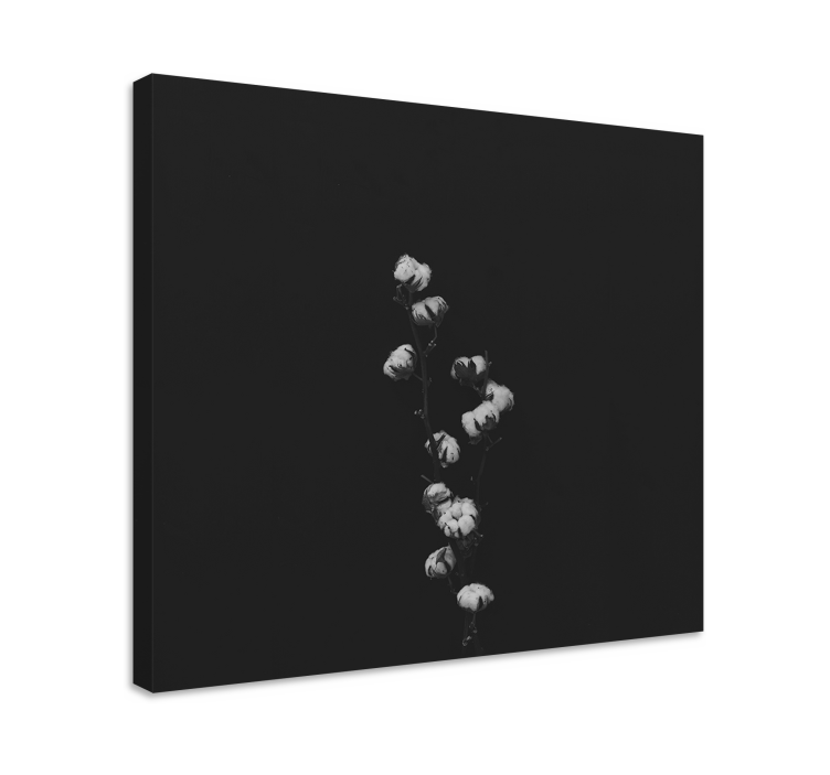 Odtisi platna bombažne rastline - TenStickers