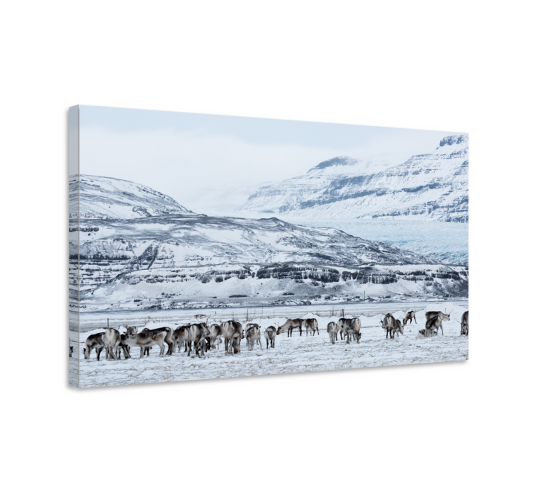 Reindeer herding platno z dinozavrom - TenStickers
