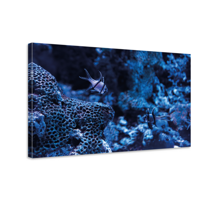 Coral reef fish slikanje na platnu z morskim motivom - TenStickers