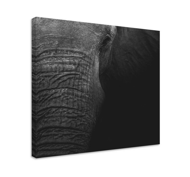 Majestic elephant portrait olifant slika na platnu - TenStickers