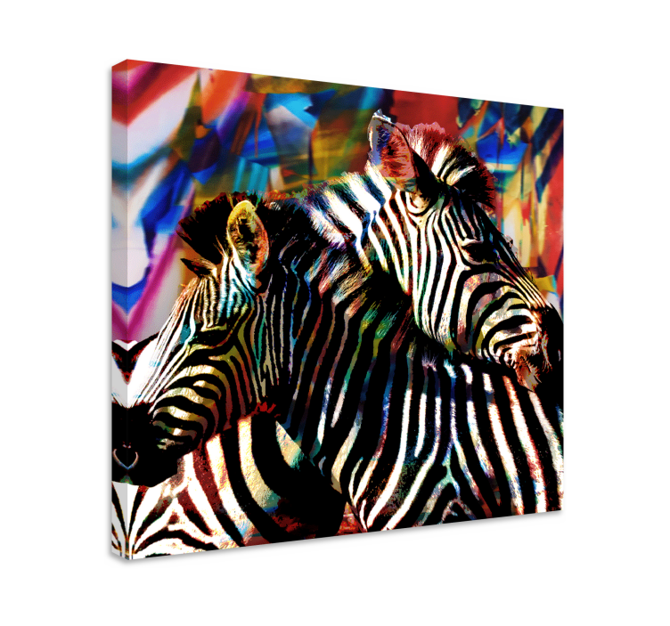 Colorful zebra pair platna slike z motivi živali - TenStickers