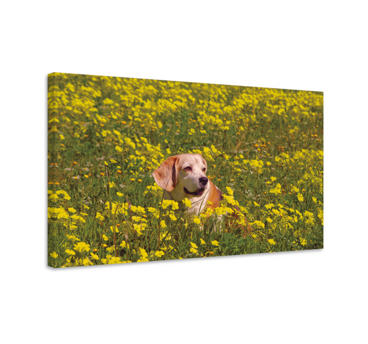 Happy dog outdoors platno slikarstvo pes - TenStickers