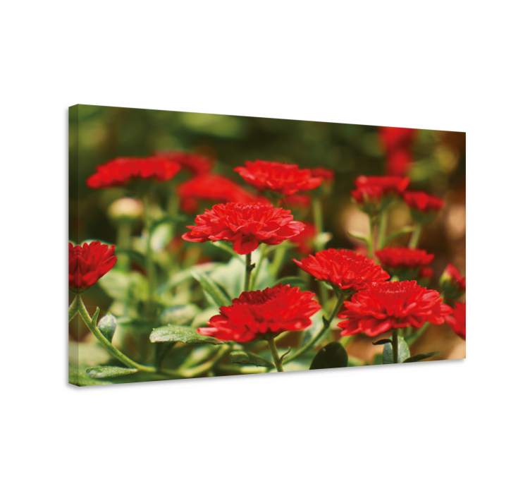 Red flower blooms slikarsko platno z rastlinami - TenStickers