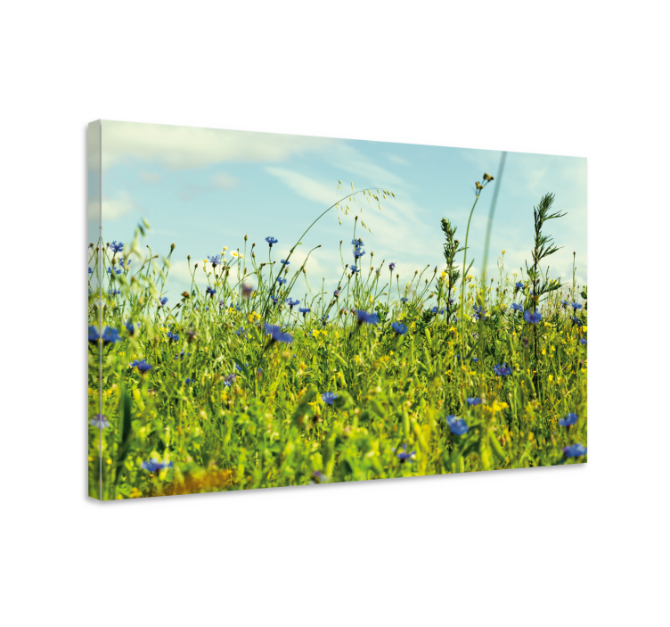 Wildflower meadow scene slikarsko platno z rožami - TenStickers