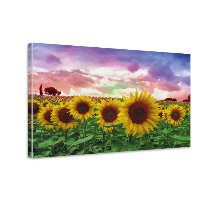 Vibrant sunflower field slikarsko platno z rožami - TenStickers