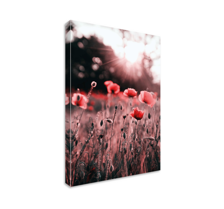 Poppy meadow radiance slikarsko platno z rožami - TenStickers