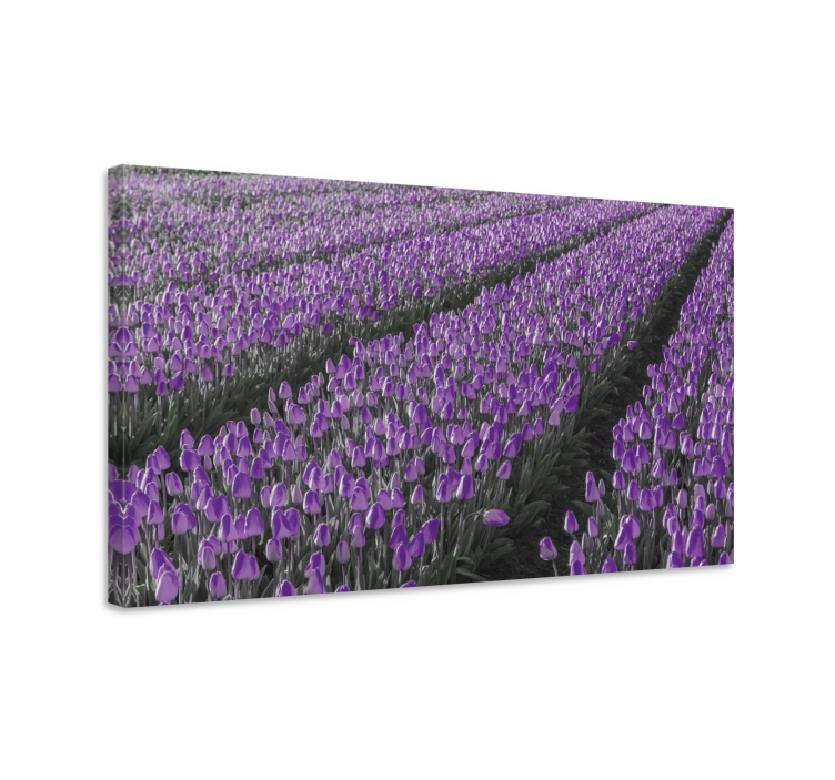 Purple tulip field slikarsko platno z rožami - TenStickers