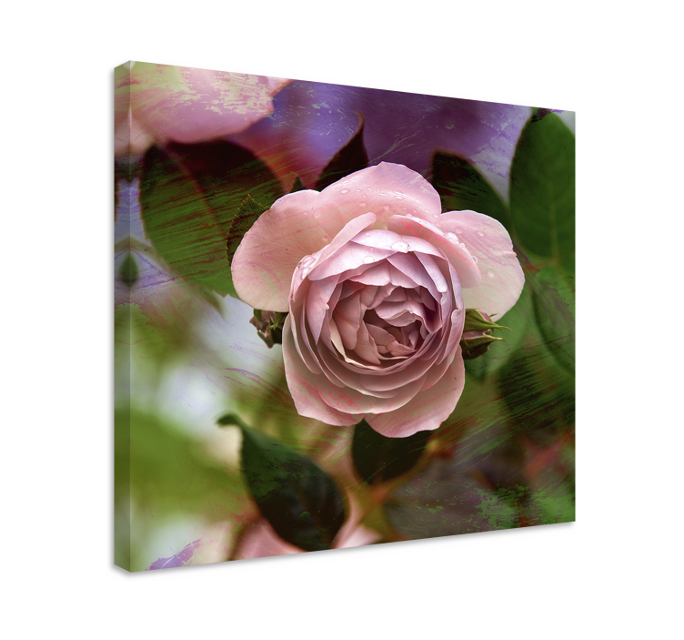 Pink rose blossom slikarsko platno z rožami - TenStickers