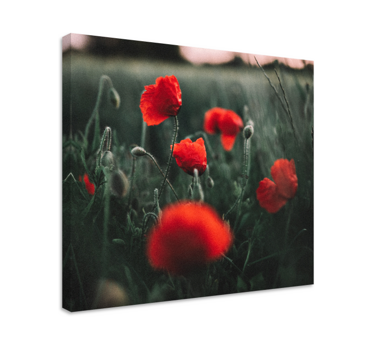 Vivid poppy blooms slikarsko platno z rožami - TenStickers