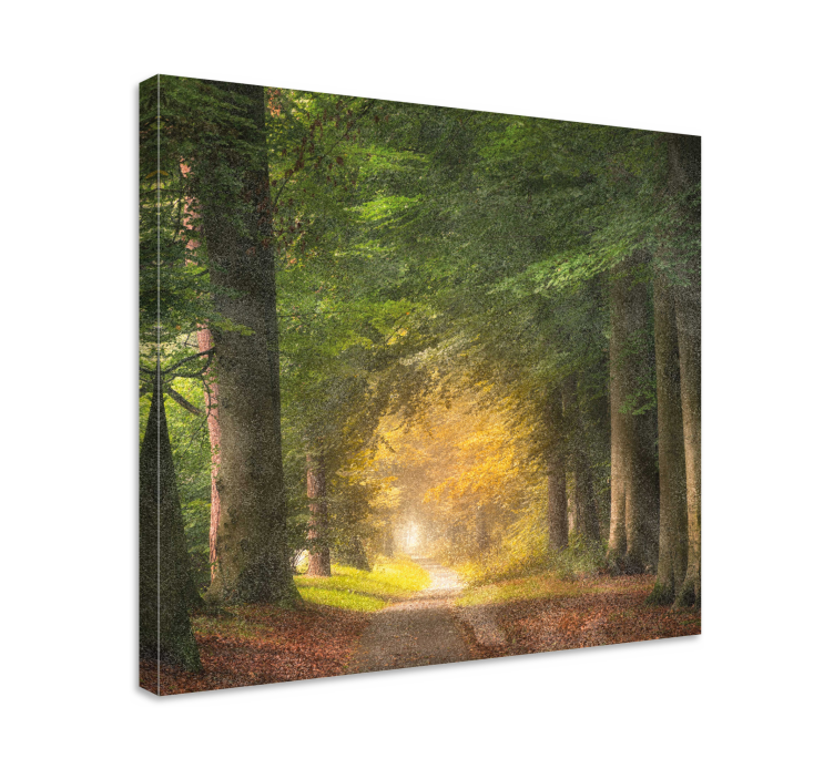 Woodland trail tranquility platno zemljevidov - TenStickers