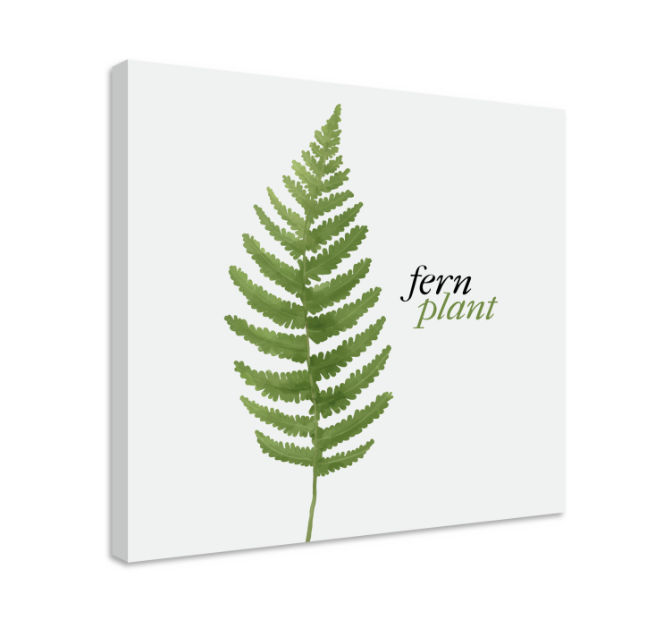 Fern plant design slikarsko platno z rastlinami - TenStickers