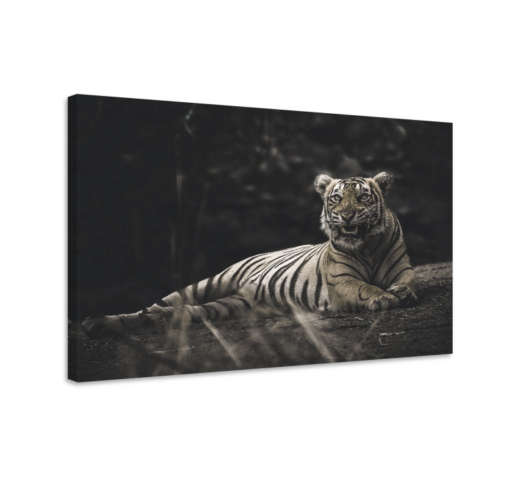Majestic tiger resting platna slike z motivi živali - TenStickers