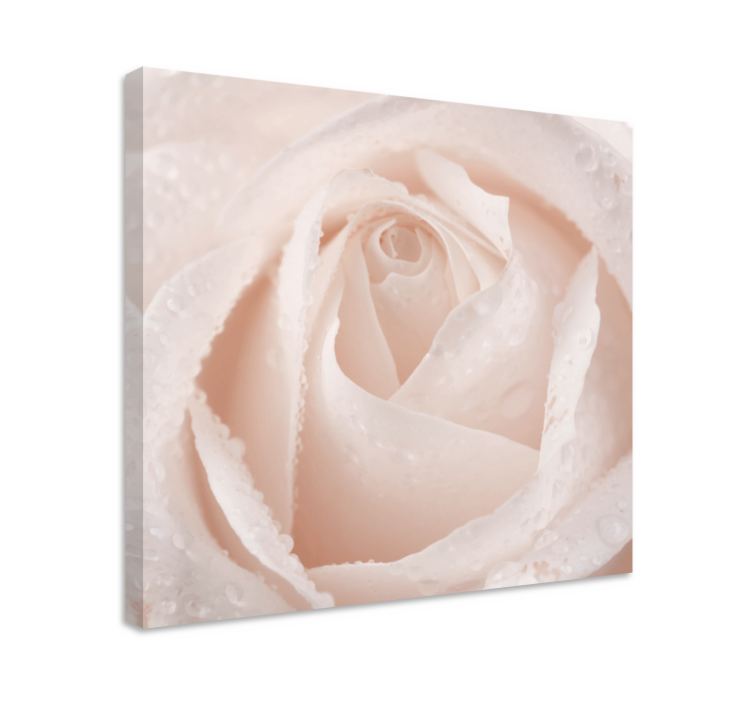 Elegant rose bloom slikarsko platno z rožami - TenStickers