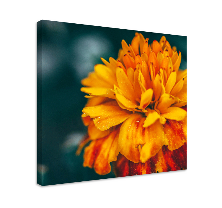 Vibrant orange blossom platno slikanje cvetja - TenStickers