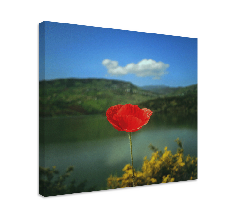 Red poppy blossom slikarsko platno z rožami - TenStickers