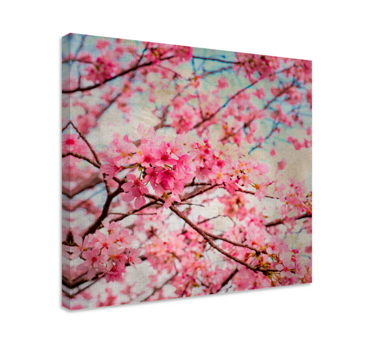 Cherry blossom blooms slikarsko platno z rožami - TenStickers