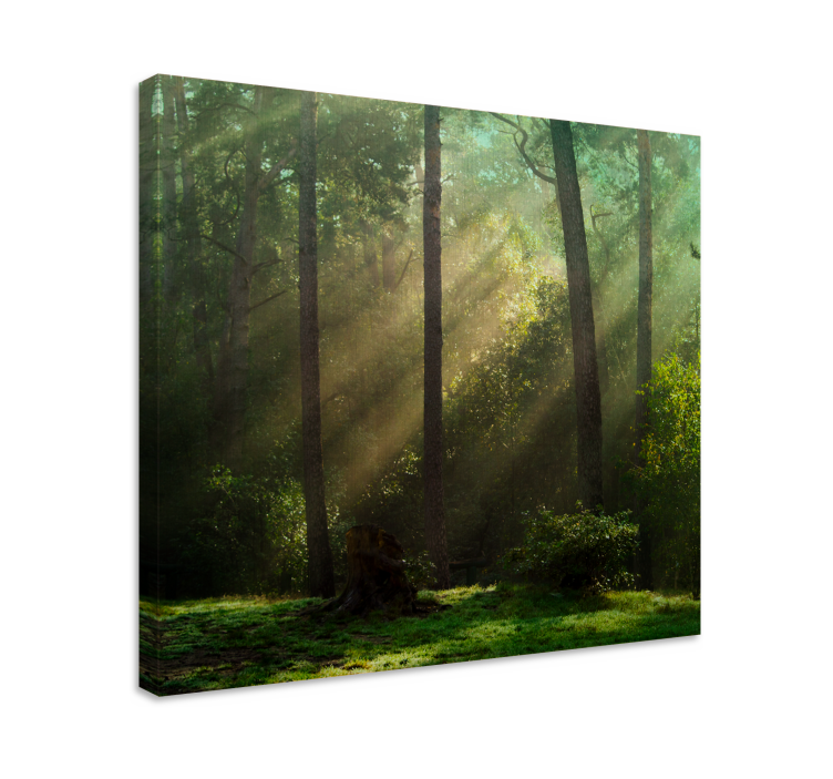 Radiant woodland landscape platna z enojnim drevesom - TenStickers