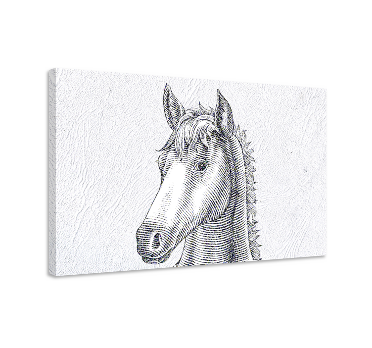 Elegant horse sketch platno slika konj - TenStickers