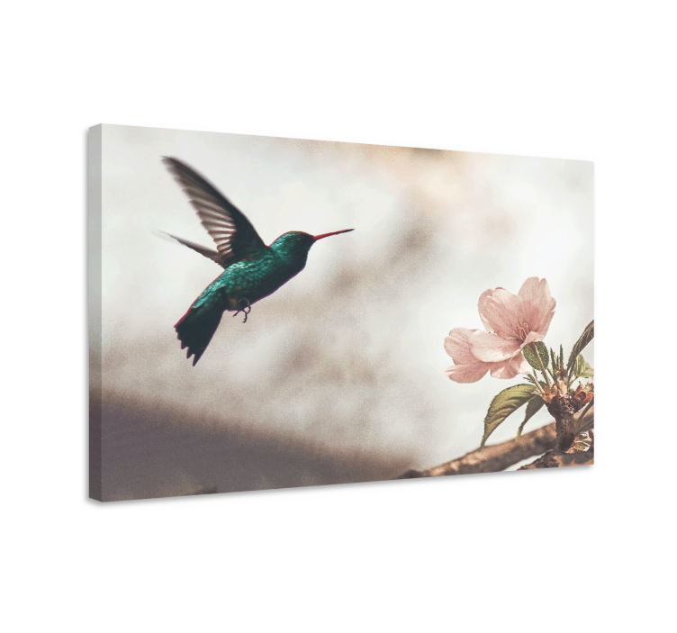 Hummingbird and blossoms ptica na platnu - TenStickers