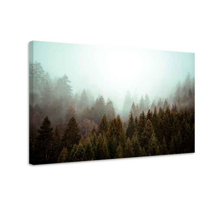 Misty woodland view platno slika zemljevidov - TenStickers