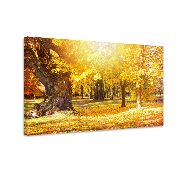Fall woodland trail platna z enojnim drevesom - TenStickers
