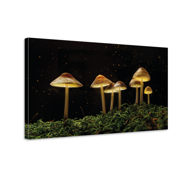 Glowing mushrooms scene slikarsko platno z rastlinami - TenStickers