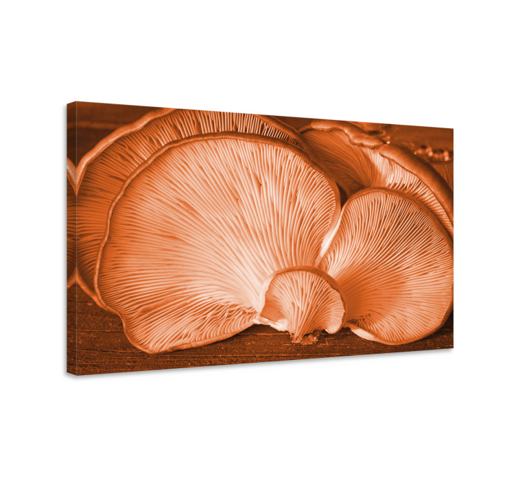 Oyster mushroom close-up slikarsko platno z rastlinami - TenStickers