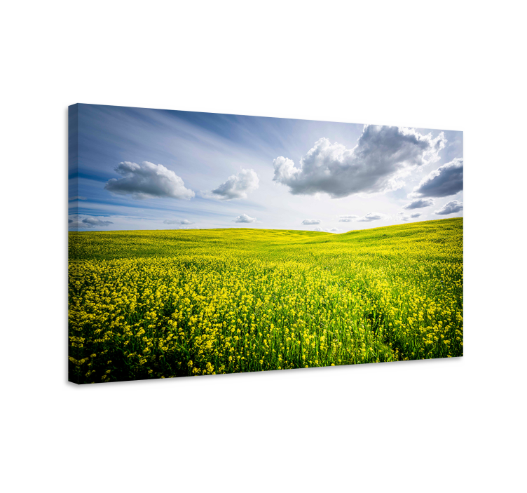 Vibrant yellow field platno slika zemljevidov - TenStickers