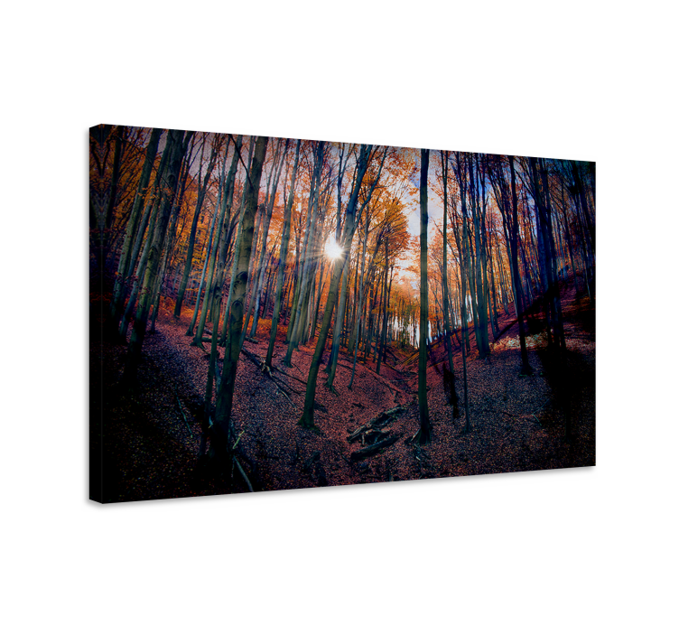 Autumn forest glow platno slika zemljevidov - TenStickers