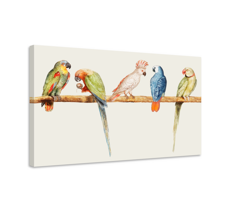 Colorful parrot collection platno slikarstvo pes - TenStickers