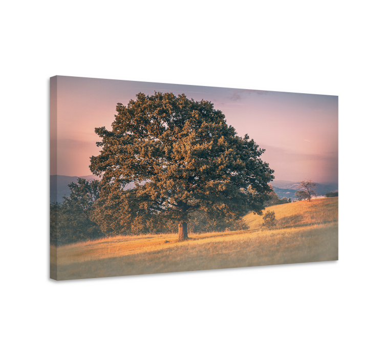 Majestic oak tree platna z enojnim drevesnim motivom - TenStickers