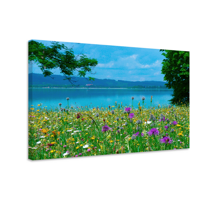 Blooming meadow view slikarsko platno z rastlinami - TenStickers