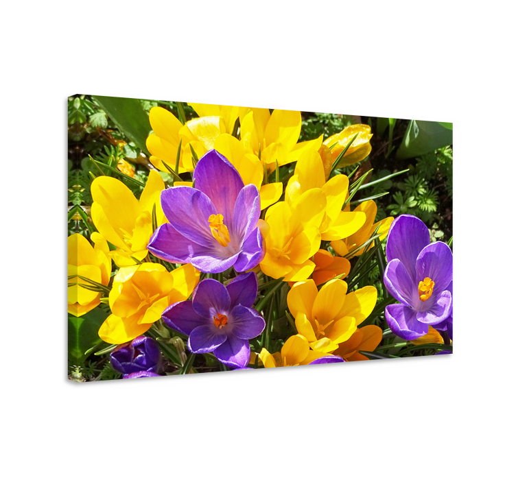 Colorful spring blooms slikarsko platno z rožami - TenStickers
