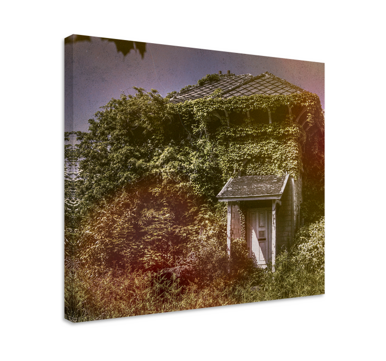 Abandoned rustic cottage platno v rustikalnem slogu - TenStickers