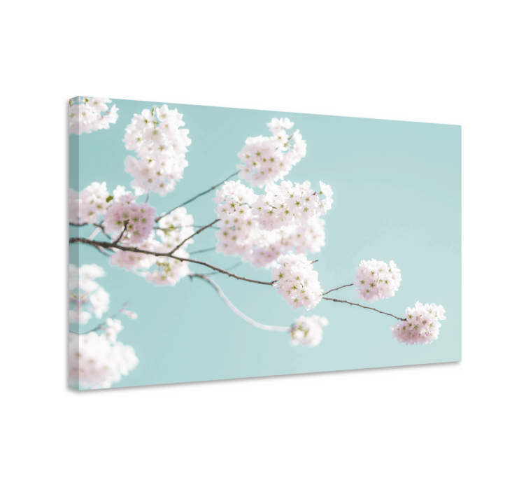 Sakura bloom stem slikarsko platno z rožami - TenStickers