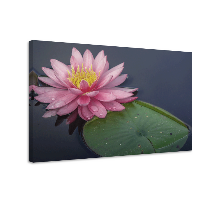 Water lily blossom slikarsko platno z rožami - TenStickers
