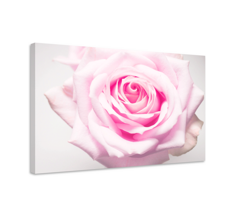 Blush rose bloom slikarsko platno z rožami in rastlinami - TenStickers
