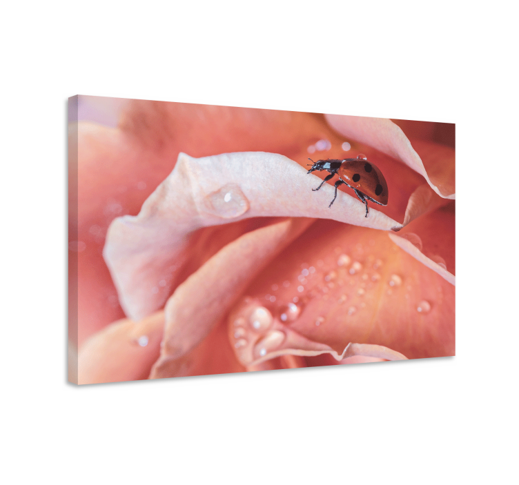 Ladybug on rose slikarsko platno z rožami - TenStickers