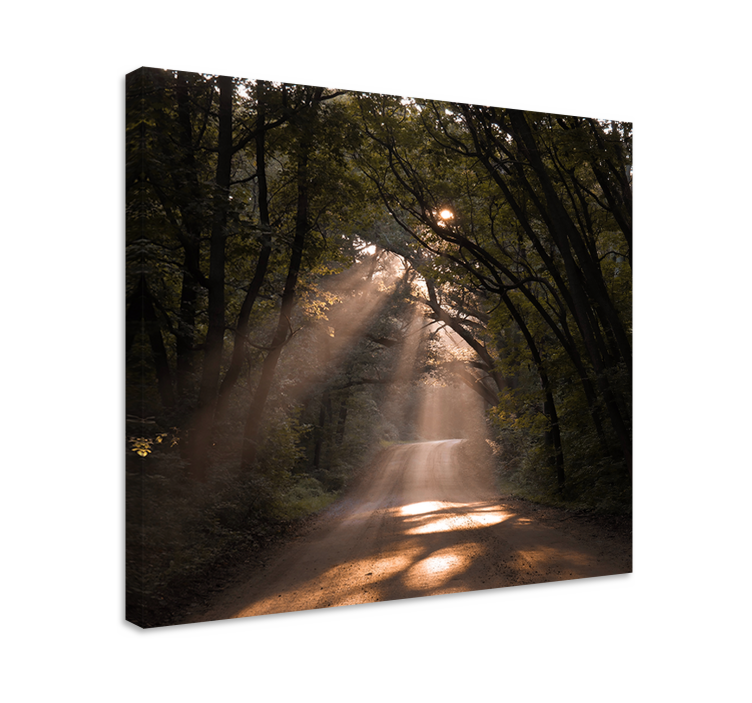 Sunshine woodland trail platno zemljevidov - TenStickers