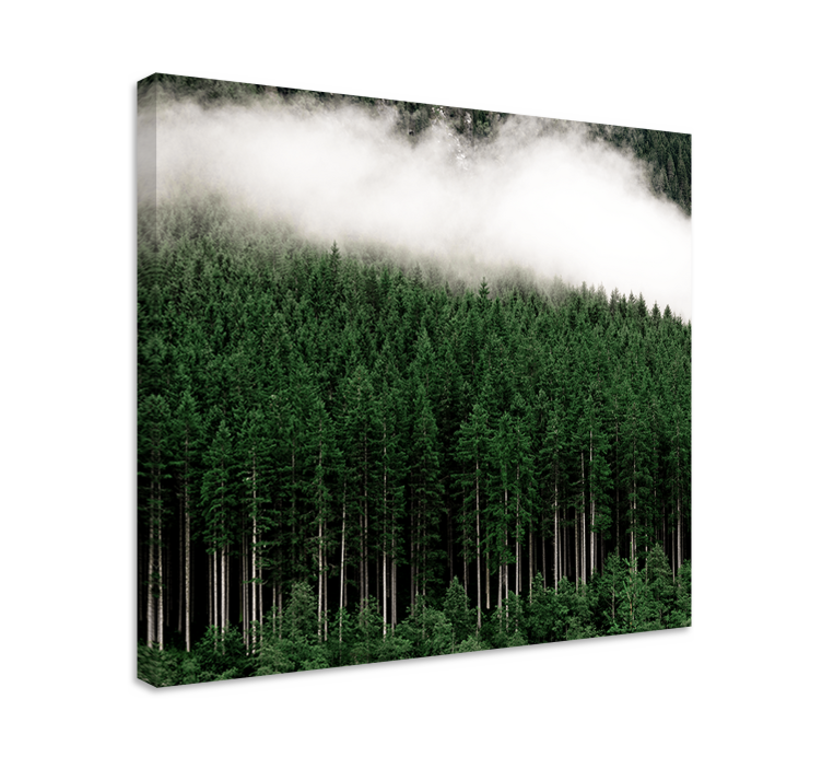 Misty evergreen forest platna z enojnim drevesom - TenStickers