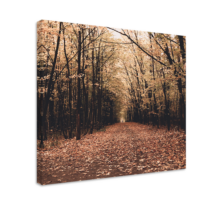 Autumn pathway scene platno slika zemljevidov - TenStickers